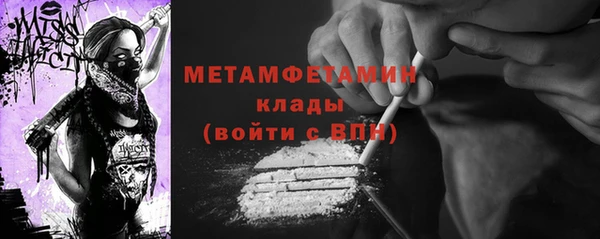 хмурый Аркадак