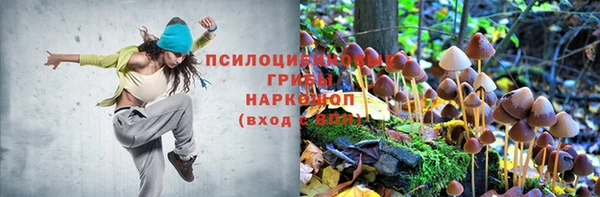 прущие крисы Снежинск