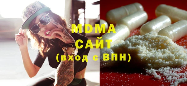 хмурый Аркадак
