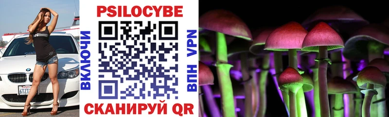 Псилоцибиновые грибы мицелий купить наркоту Нягань